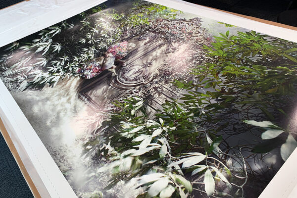 fade print 2 small fade print 2 small