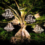 The Faraway Tree
