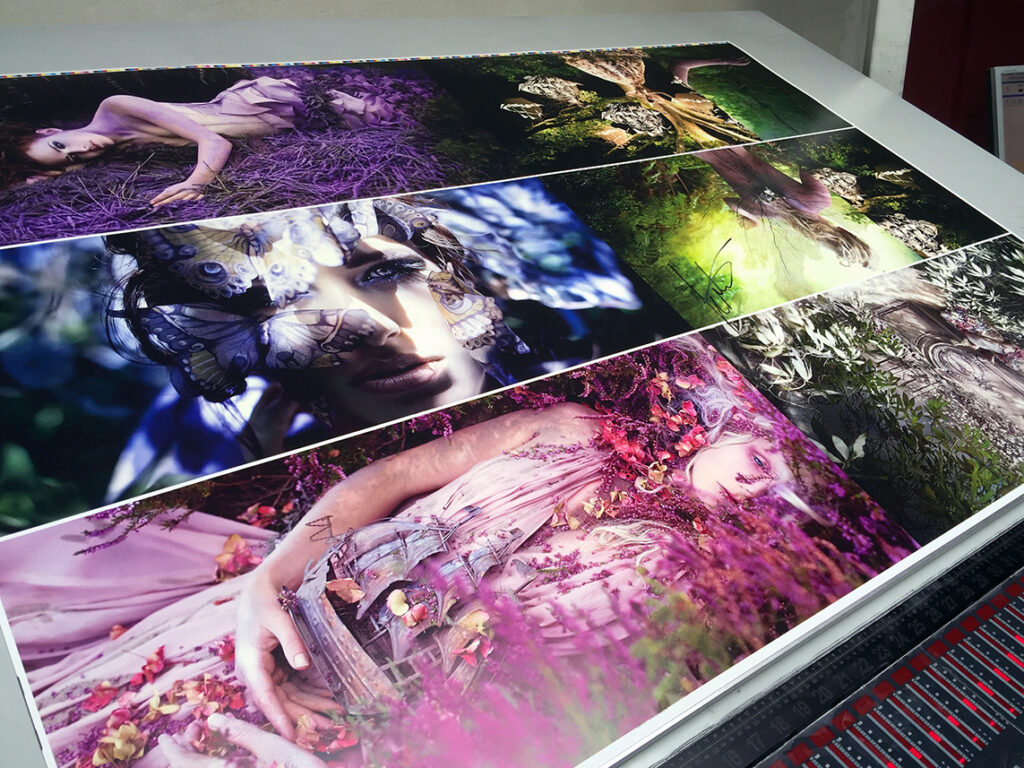 wonderland book gatefolds