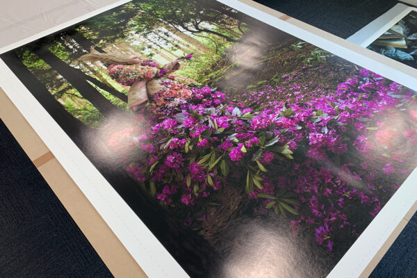 last dance print 2 small last dance print 2 small