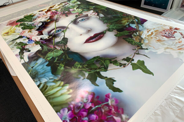 pure blood print 1 small pure blood print 1 small