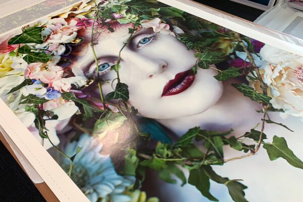 pure blood print 2 small pure blood print 2 small