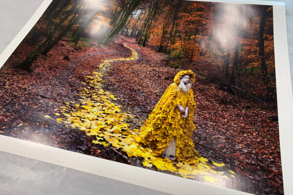 the journey home print the journey home print