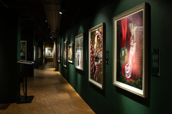 15_briar rose view 15_briar rose view