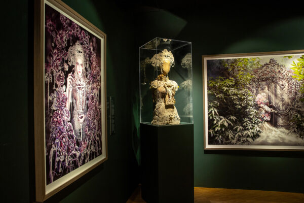 16_centurion bodice view 16_centurion bodice view