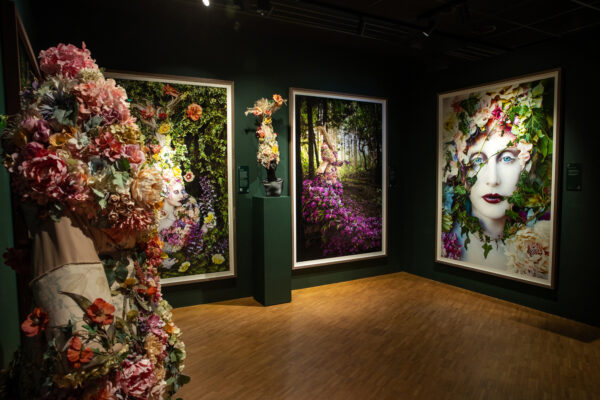 7_flower room 7_flower room