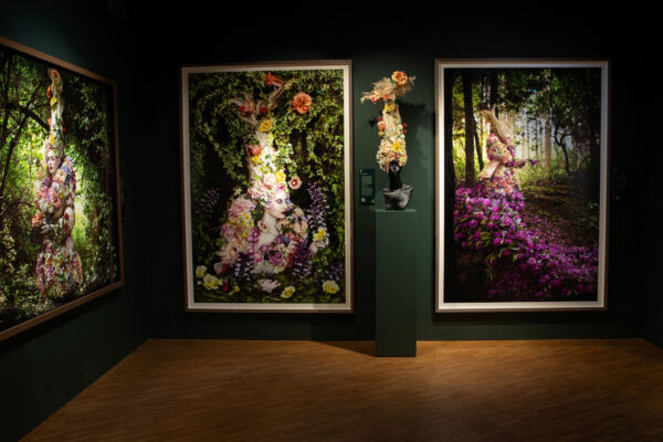 8_flower room view 2 8_flower room view 2